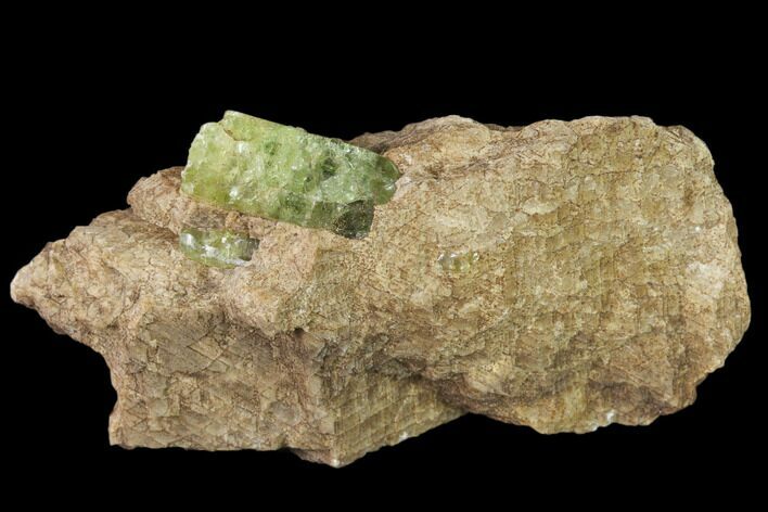 Yellow-Green Fluorapatite Crystal in Calcite - Ontario, Canada #137103